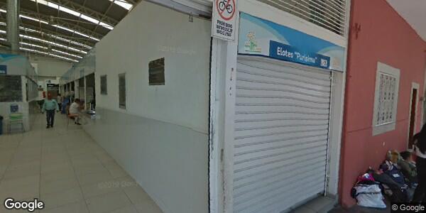 DESARROLLO SOCIAL MUNICIPIO DE PURÍSIMA DEL RINCÓN